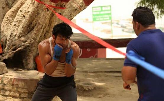 थम नहीं रही टाइगर जिंदा है की रफ्तार, वीकेंड पर बढ़ सकती है मुक्काबाज की कमाई