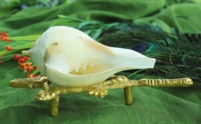 इस दिन शंख का पूजन करने से बदल जायेंगे आपके भाग्य