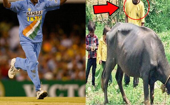 1998 विश्वकप में भारत की जीत का ये हीरो आज भैंस चराने को है मजबूर