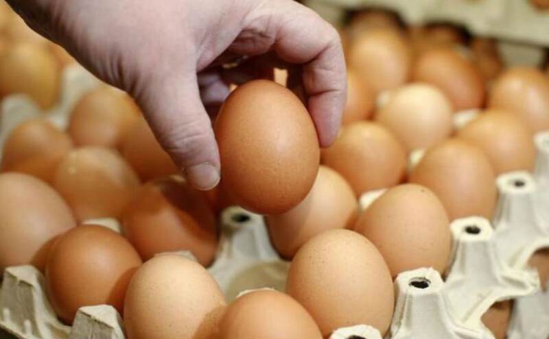 OMG: बाजार में आया आयुर्वेदिक अंडा, फायदे जानकर हैरान हो जायेंगे आप