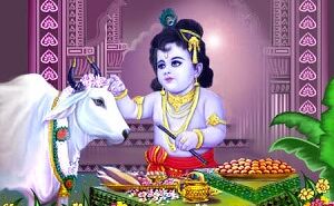 गोपाष्टमी पर इस वजह से की जाती है गाय की पूजा, जानिए कुछ ख़ास बातें