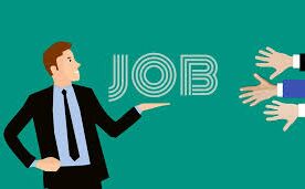 हस्तशिल्प, कपड़ा और कॉयर विभाग, अपर डिविजन क्लर्क के पद पर 12वीं पास करें आवेदन...