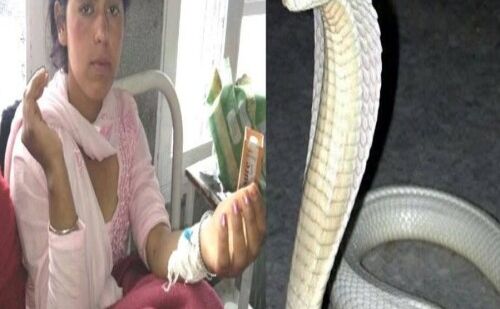 34 बार सांप के काटने के बाद भी जिंदा है ये लड़की, रहस्य बनी इसकी जिंदगी