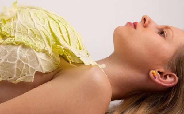 महिलाएं पत्ता गोभी का करें इस्तेमाल, फायदे जानकर रह जाएंगी हैरान