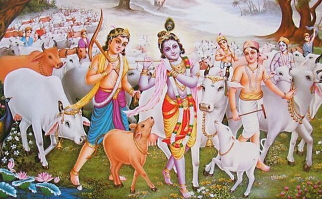 इस दिन है गोपाष्टमी, जानिए पूजा विधि इस दिन है गोपाष्टमी, जानिए पूजा विधि