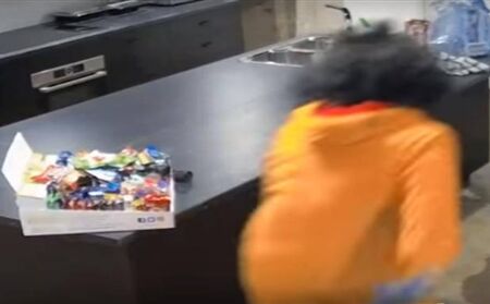 जब शेर पहुँचा चॉकलेट चुराने