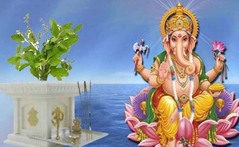 इस वजह से गणेश पूजन में वर्जित है तुलसी इस वजह से गणेश पूजन में वर्जित है तुलसी