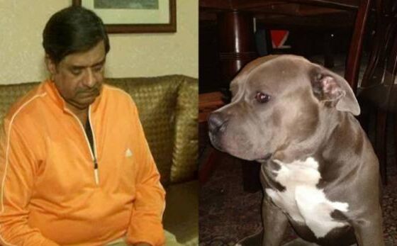 नोएडा: चाकू की नोक पर कुत्ता हुआ किडनैप, मालिक ने रखा 50 हजार का इनाम