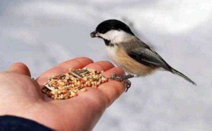 गलती से किए महापाप से मुक्ति दिला देंगे यह 5 काम