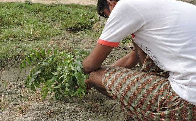 स्वच्छता की अनोखी पहल: खुले में शौच की सजा, नीम के पांच पौधे लगाओ