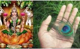 घर में है मोरपंख तो आप रातोंरात करोड़पति बन जायेंगे...