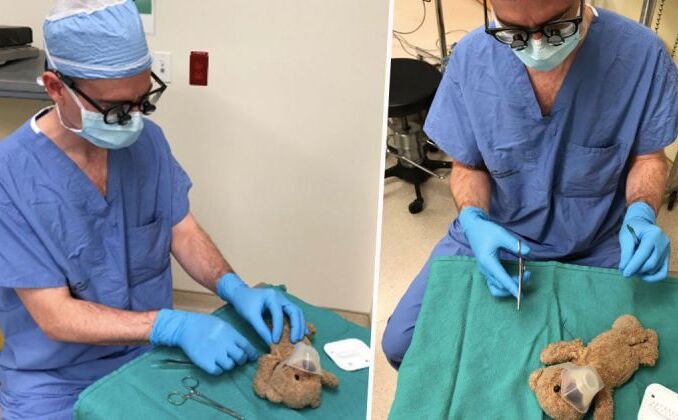 इस बड़े सर्जन ने कर दिया छोटे से टेडी बीयर का असली ऑपरेशन, जानें वजह इस बड़े सर्जन ने कर दिया छोटे से टेडी बीयर का असली ऑपरेशन, जानें वजह