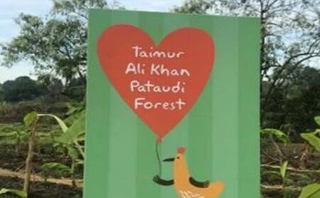 सैफ-करीना के लाडले तैमूर अली खान को मिला बर्थडे पर ऐसा गिफ्ट, चौंके बिना नहीं रह पाएगा कोई