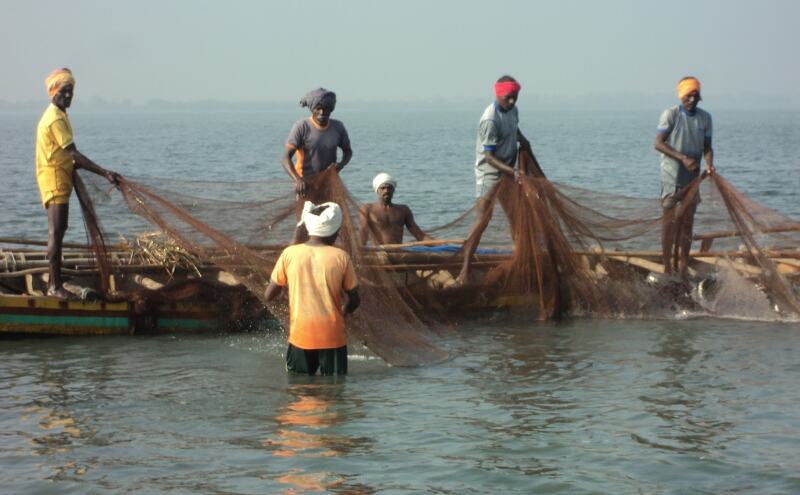 श्रीलंका में फिर से 27 भारतीय मछुआरे गिरफ्तार...