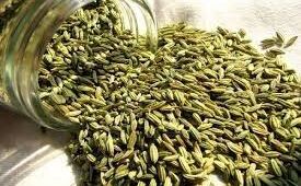 गर्मी के मौसम में लू लगने और डिहाइड्रेशन जैसी समस्याओं से बचाती है सौंफ, जानें-