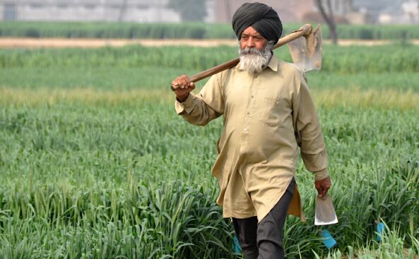 बाढ़ग्रस्त किसानों को मिली सिर्फ 30 से 40 फीसदी राशि, कई किसानों के खातों तक पहुंची ही नहीं