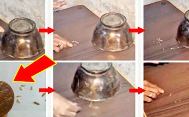 पलभर में अमीर बना रहा है लोगों को तांबे का ये अदभुत टोटका, दुनियाभर में जिसने सुना हर कोई कर रहा है ये टोटका