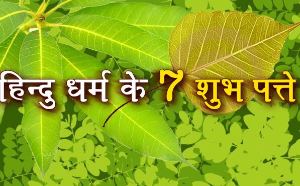 शास्त्रों के अनुसार ये सात पत्ते होते हैं बेहद शुभफलदायी, बना सकते हैं रंक को भी राजा