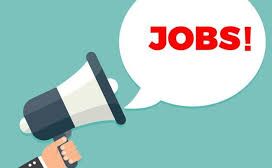 जूनियर टाइपिस्ट, स्टेनोग्राफर के विभिन्न पदों पर, अप्लाई करें, 12वीं पास