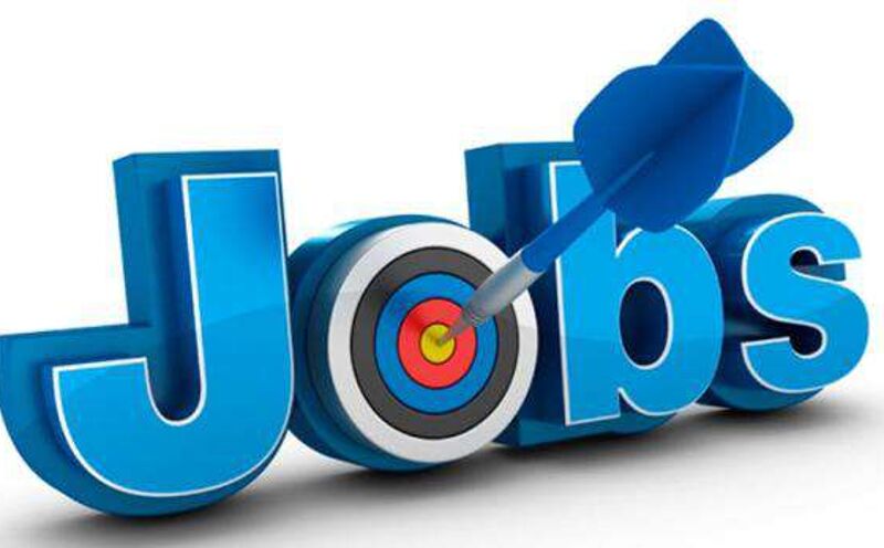 सरकारी नौकरी पाने का शानदार मौका, बस करने होंगे ये दो काम