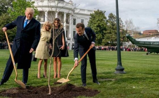 व्हाइट हाउस में ट्रंप-मैक्रों का लगाया पौधा हफ्तेभर में हुआ गायब