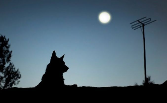 इस शहर में लगातार दो महीने तक रहता है अँधेरा, वजह जानकर रूह काँप जाएगी