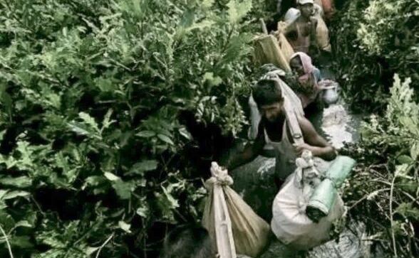 भारत में प्रवेश करने की फिराक में रोहिंग्या मुसलमान, होटलों और लॉज में डाल रखा है डेरा