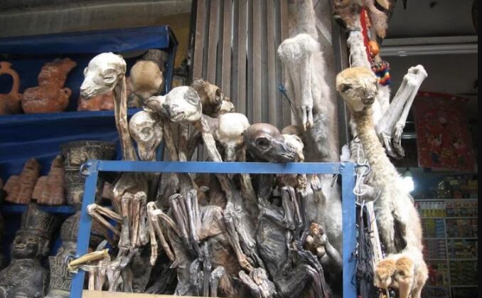 देखिए दुनिया का सबसे बड़ा जादू-टोने का बाजार, यहां मिलती है ऐसी चीजें देखकर निकल जाए चीख