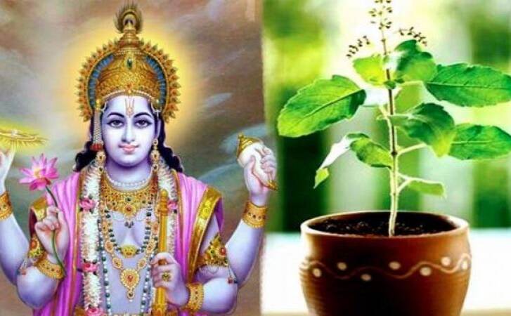 देवउठनी एकादशी पर जरूर गाये माँ तुलसी की यह आरती देवउठनी एकादशी पर जरूर गाये माँ तुलसी की यह आरती