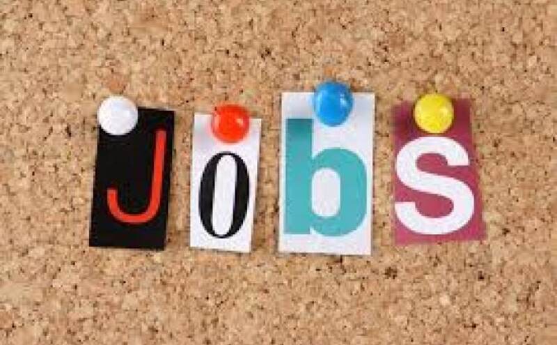 हाई कोर्ट भर्ती : फ्रेशर के लिए निकली 59000 रु प्रतिमाह की नौकरी