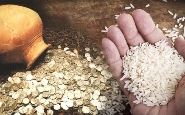 पैसों की है सख्त जरूरत तो चावल का ये उपाय आपकी मदद कर सकता है