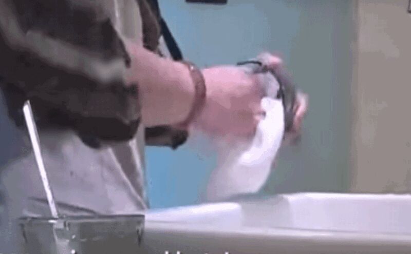 चीन के लग्जरी होटलों में एक ही तौलिये से कप-टॉयलेट की सफाई