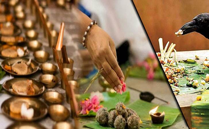 जानिए, श्राद्ध और कौए का आखिर क्या है Connection