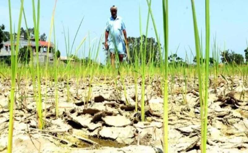 मोदी के लिए 2019 में सत्ता की चुनौती बन रहे किसानों को साधने की तैयारी में जुटा आरएसएस