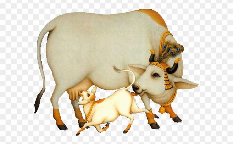 गौ माता का वैज्ञानिक महत्व