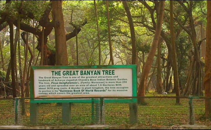 दुनिया का सर्वनाश हो जाएगा लेकिन इस पेड़ का नहीं